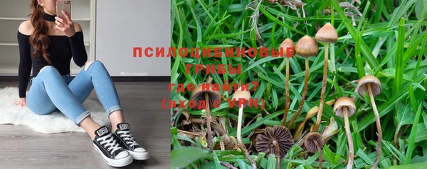 мдпв Балабаново