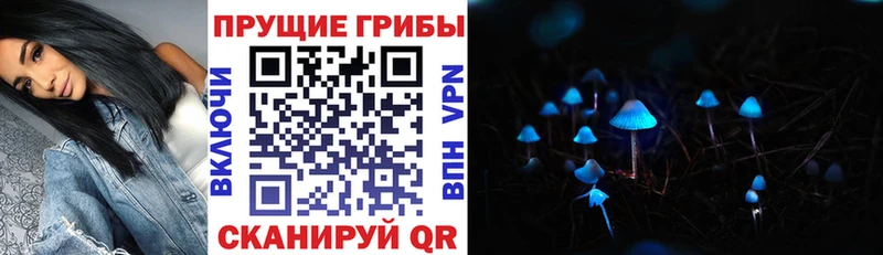Псилоцибиновые грибы мицелий  сайты даркнета формула  Семикаракорск 